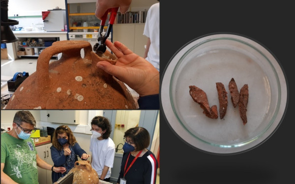 Αρχαιολογικό Μουσείο Θεσσαλονίκης: Στο φως για πρώτη φορά, μεγάλος πήλινος μυκηναϊκός αμφορέας της Ύστερης Εποχής Χαλκού