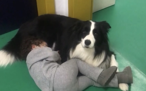 Θεσσαλονίκη: Η ζωοθεραπεία και πώς ένας σκύλος παρεμβαίνει σε συμπεριφορές απέναντι σε ανθρώπους