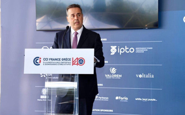 Σταύρος Παπασταύρου: «Ελλάδα-Γαλλία συνεργασία και στην ενέργεια»