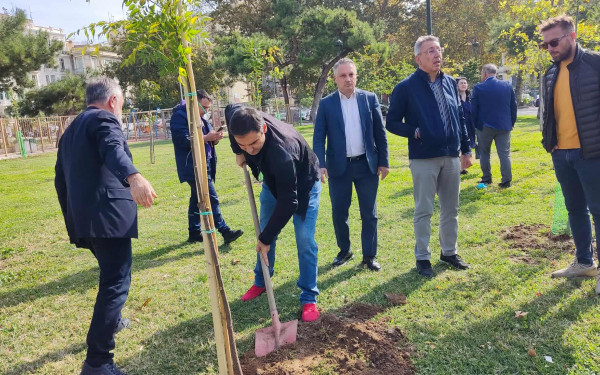 Θεσσαλονίκη: 100 δέντρα για τα 100 χρόνια του ΕΕΘ (βίντεο)