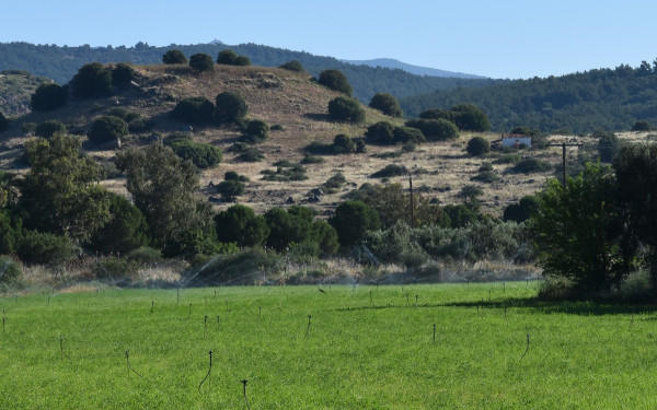 Δυτική Λέσβος: Ο δήμος παραχωρεί έκταση για να ανασκαφεί και αναδειχθεί η αρχαία Αρίσβη