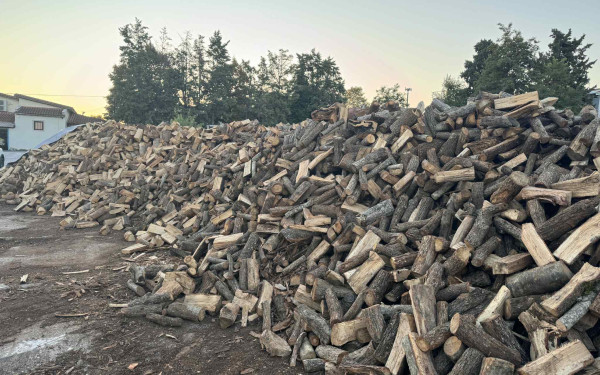 Θεσσαλονίκη: Τα πρώτα κρύα έφεραν τεράστια αύξηση στη ζήτηση για καυσόξυλα - Στα περσινά επίπεδα οι τιμές