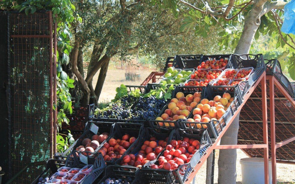 Λαϊκή χωρίς μεσάζοντες σήμερα στην Αρετσού