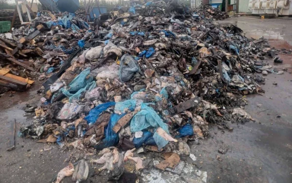 Απόβλητα από την Κέρκυρα ενταφιάζονταν στην Ήπειρο - Τρεις συλλήψεις, αναζητούνται άλλοι δώδεκα Απόβλητα από την Κέρκυρα ενταφιάζονταν στην Ήπειρο - Τρεις συλλήψεις, αναζητούνται άλλοι δώδεκα