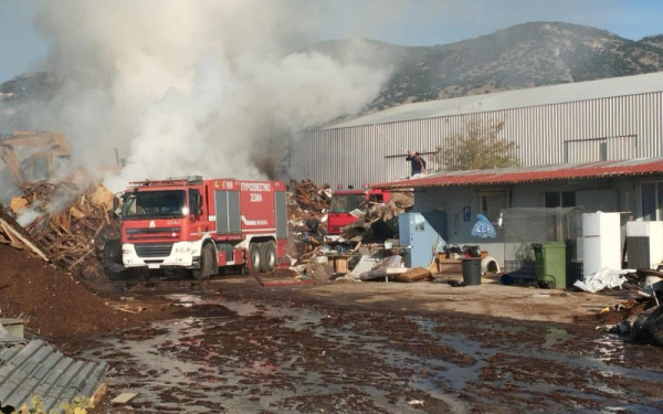 Σέρρες: Οριοθετήθηκε η φωτιά σε εργοστάσιο πέλλετ στο Νέο Σούλι - Ισχυρές πυροσβεστικές δυνάμεις στο σημείο Σέρρες: Οριοθετήθηκε η φωτιά σε εργοστάσιο πέλλετ στο Νέο Σούλι - Ισχυρές πυροσβεστικές δυνάμεις στο σημείο