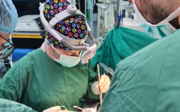 Ιστορική πρώτη στην Ελλάδα: Γυναίκα χειρουργός πραγματοποιεί μεταμόσχευση ήπατος - Επιτυχία για το ΑΠΘ Ιστορική πρώτη στην Ελλάδα: Γυναίκα χειρουργός πραγματοποιεί μεταμόσχευση ήπατος - Επιτυχία για το ΑΠΘ