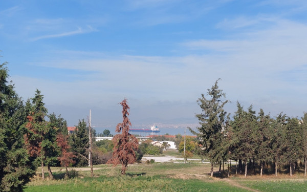 Καλαμαριά: Νέα «θηλιά» δεκάδων εκατομμυρίων ευρώ για απαλλοτριώσεις στο πρώην στρατόπεδο Κόδρα