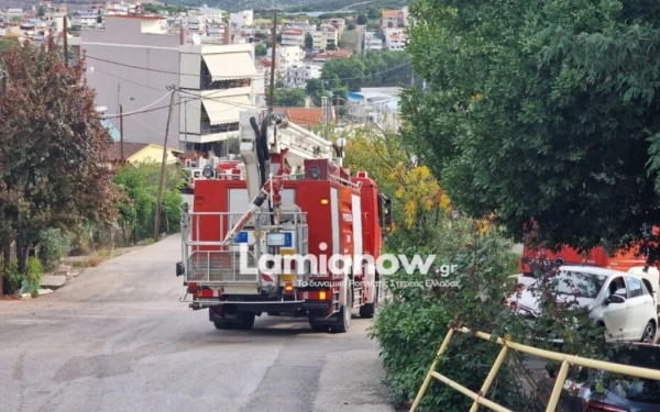 Λαμία: Φωτιά σε μονοκατοικία με ένα νεκρό Λαμία: Φωτιά σε μονοκατοικία με ένα νεκρό