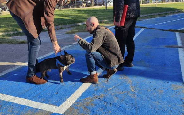 Θεσσαλονίκη: 17 πρόστιμα έως 500 ευρώ σε ιδιοκτήτες ζώων για παραβάσεις τον μήνα Οκτώβριο
