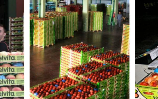 ΑΣΕΠΟΠ: Πάνω από 23 εκατ. ευρώ σε επενδύσεις - Ενίσχυση των εξαγωγών και νέος κύκλος εργασιών