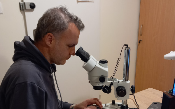 Έλληνας παλαιοντολόγος ανακάλυψε είδος φιδιού ηλικίας 37 εκατ. ετών