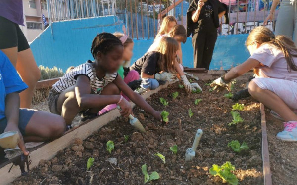 Θεσσαλονίκη: Γνωρίζοντας του σχολικούς λαχανόκηπους της Μαμαγαία - Παιδιά, γονείς και εκπαιδευτικοί δημιουργούν μαζί