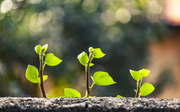 Πράσινο ταμείο: Ογδόντα εκατ. ευρώ στην Τοπική Αυτοδιοίκηση για «πράσινα» έργα