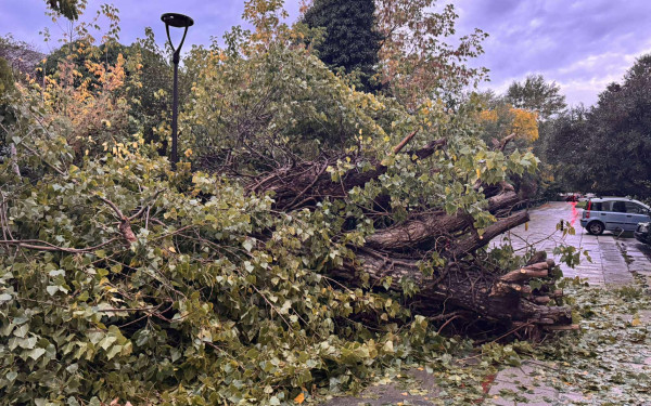 Βίντεο: Σφοδρή καταιγίδα το βράδυ στη Θεσσαλονίκη - Πτώσεις δέντρων και υλικές ζημιές σε ΙΧ