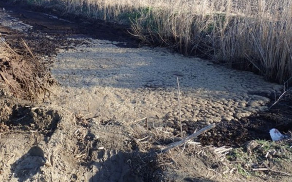 Θεσσαλονίκη: Πρόεδρος εταιρείας κατηγορείται για παράνομη ρίψη βιομηχανικών αποβλήτων σε προστατευόμενη περιοχή