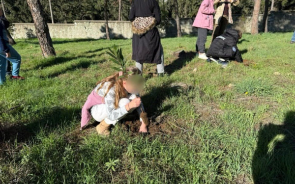 Θεσσαλονίκη: 600 νέα δέντρα στο περιαστικό δάσος Τούμπας από το Δήμο και μαθητές