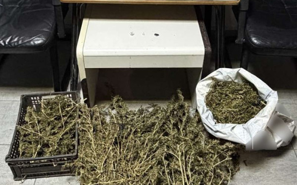 Ναρκω-καβάτζα σε ποιμνιοστάσιο στο Κιλκίς: Συνελήφθη άνδρας με μεγάλες ποσότητες κάνναβης - Κατασχέθηκαν και σκληρά ναρκωτικά