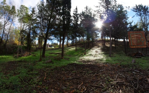Αντιπυρικές ζώνες σε 13 οικισμούς που βρίσκονται δίπλα σε δάσος δημιούργησε ο δήμος Θέρμης