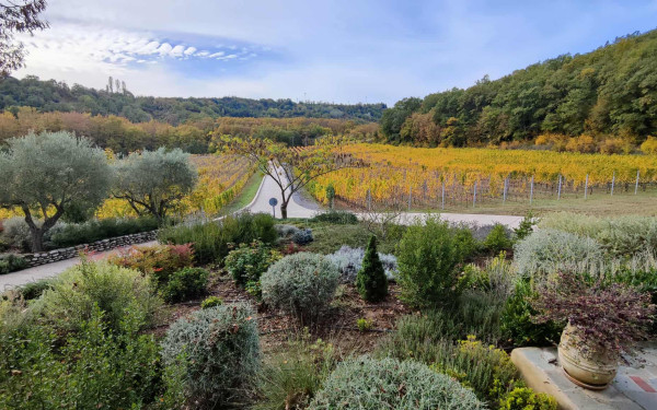 Από την Ευρωπό του Κιλκίς στο Μπάνσκο της Στρώμνιτσας: Μια πολιτιστική γέφυρα για το αύριο