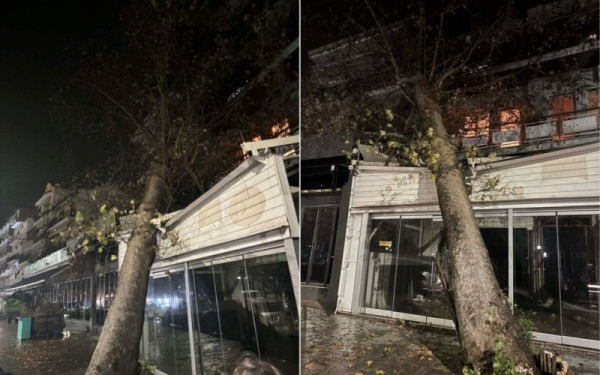 «Άνοιξαν οι ουρανοί» στην Ήπειρο: Εγκλωβίστηκαν άτομα στην Κόνιτσα και έπεσε δένδρο σε κατάστημα στην Ηγουμενίτσα (βίντεο)