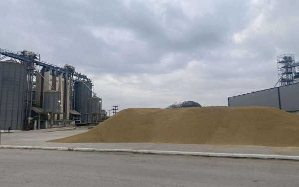 Θεσσαλονίκη: Οι ζωοτροφές γίνονται… ρύζι για γάμο - Πρωτοτυπία από τους ορυζοπαραγωγούς της Χαλάστρας