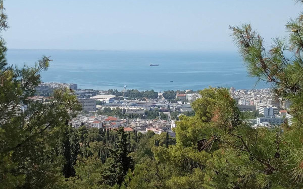 Θεσσαλονίκη: «Ασπίδα» προστασίας και ανάδειξης της Δασικής Υπηρεσίας για το Σέιχ Σου