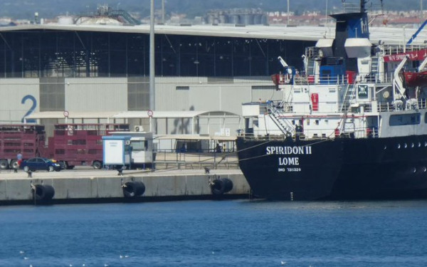 Aποτροπιασμός στην Τουρκία: Τουλάχιστον 58 αγελάδες πέθαναν και 140 γέννησαν πάνω σε πλοίο (βίντεο)