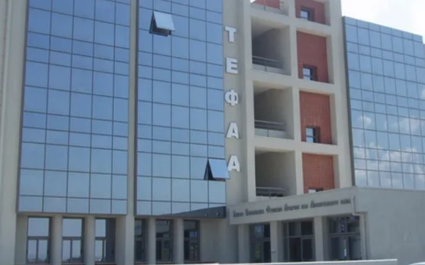 Αναστάτωση στη Θεσσαλονίκη: Λύκος εμφανίστηκε στην αυλή του ΤΕΦΑΑ - Ακυρώθηκε το μάθημα (βίντεο)