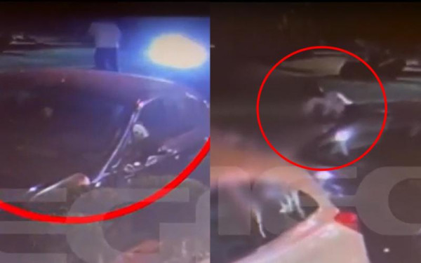 Θανατηφόρο τροχαίο με νεκρό βρέφος στο Βόλο: Στη φυλακή ο οδηγός της μηχανής (βίντεο)