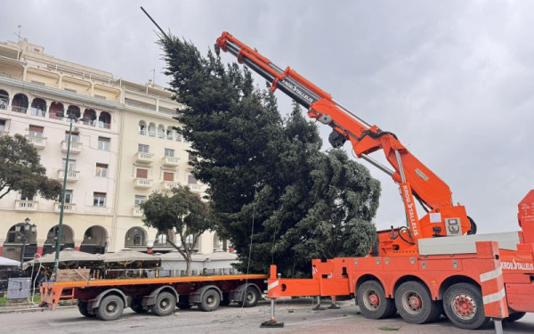 Θεσσαλονίκη: Ξεκίνησε η τοποθέτηση του Χριστουγεννιάτικου δέντρου στην Πλατεία Αριστοτέλους