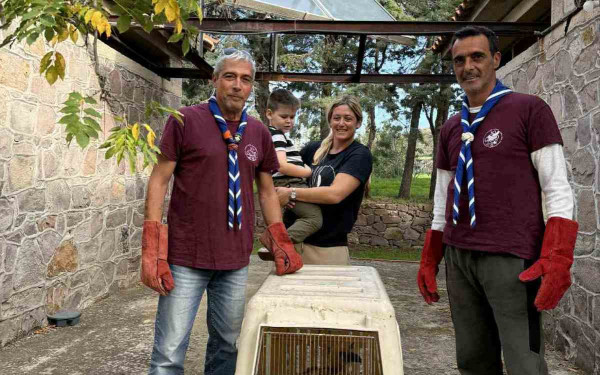 Λέσβος: Η Προσκοπική Ομάδα Διάσωσης Άγριας Ζωής «δίνει ξανά φτερά» σε σπάνιο πτηνό