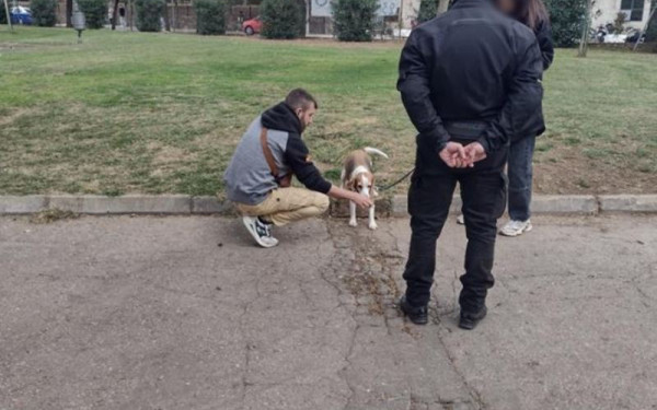 Θεσσαλονίκη: Πρόστιμα σχεδόν 10.000 ευρώ σε κηδεμόνες δεσποζόμενων ζώων τον μήνα Νοέμβριο