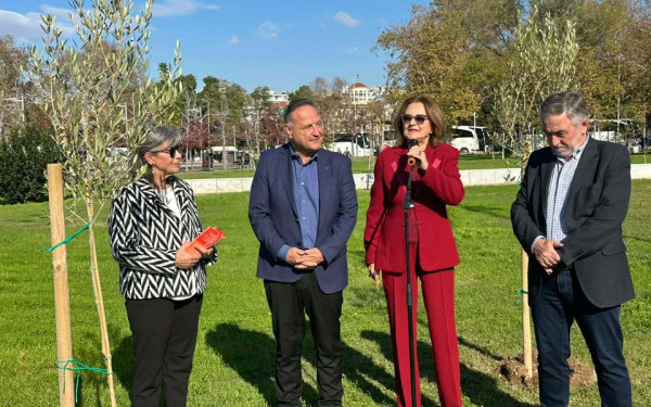 Στ. Αγγελούδης: To μήνυμα του δημάρχου Θεσσαλονίκης για τη σημερινή Διεθνή Ημέρα Εξάλειψης της Βίας κατά των Γυναικών