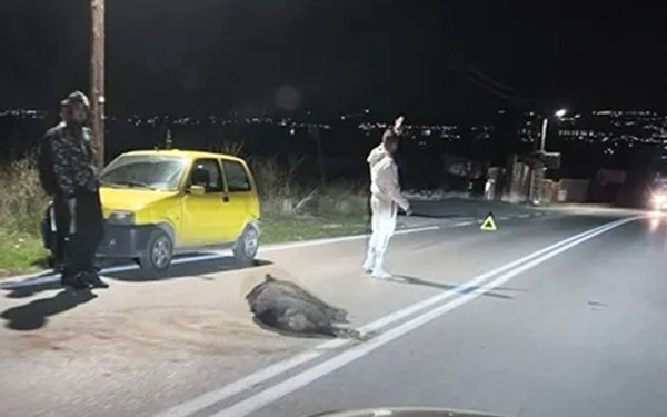 Νέα δήλωση-παρέμβαση του δημάρχου Νεάπολης-Συκεών για τα αγριογούρουνα