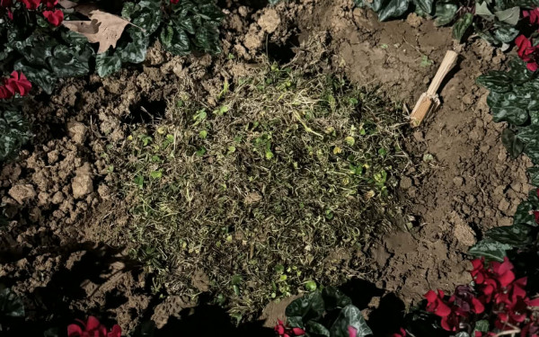 Θεσσαλονίκη: Ξήλωσαν τη μαρμάρινη πλάκα για τις κακοποιημένες γυναίκες από τη Νέα Παραλία