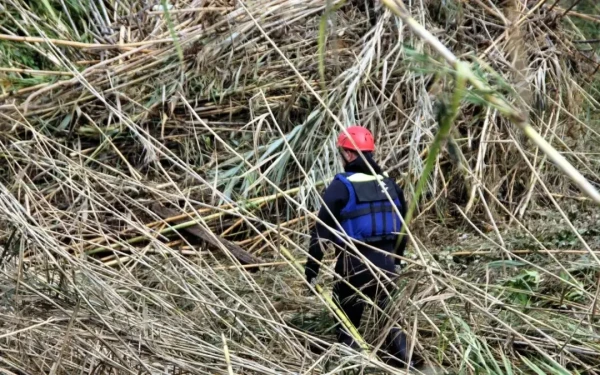 Σίκινος: Εντοπίστηκε ανθρώπινος σκελετός – Ανήκει σε μία εκ των Γαλλίδων που αγνοούνταν από το 2024 (βίντεο)