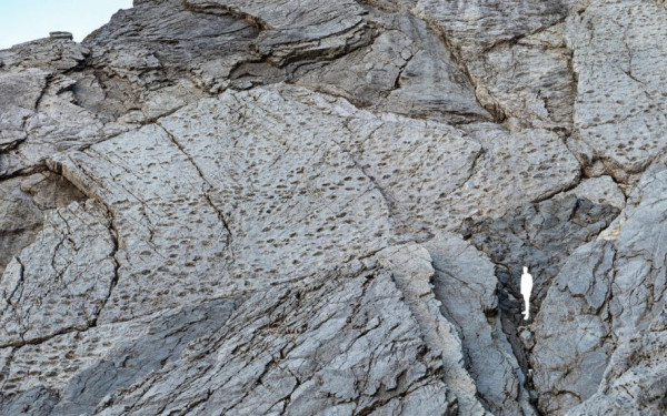 Χιλιάδες αποτυπώματα δεινοσαύρων εντοπίστηκαν σε βράχους των Άλπεων