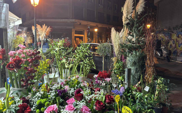 Θεσσαλονίκη: Τα φυτά των Χριστουγέννων που «ζωντανεύουν» τον στολισμό - Οι τιμές σε γκι και αλεξανδρινά