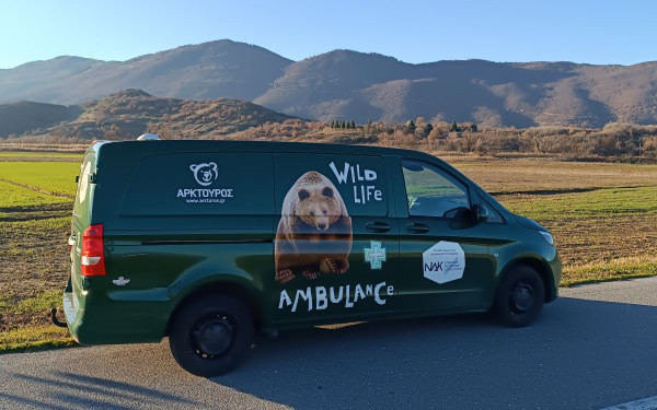 Ο Αρκτούρος αποκτά το πρώτο ασθενοφόρο άγριων θηλαστικών στην Ελλάδα