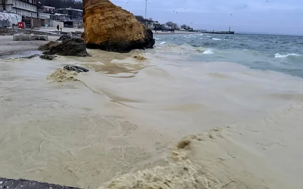 Μαύρη Θάλασσα: Ρύπανση από ηλιέλαιο μετά τα ρωσικά πλήγματα στην Οδησσό - Άμεσος κίνδυνος για τα θαλασσοπούλια της περιοχής