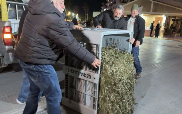 Ηράκλειο: Συμβολική διαμαρτυρία αγροτών στα γραφεία της Περιφέρειας – Έριξαν φύλλα ελιάς στην πλατεία