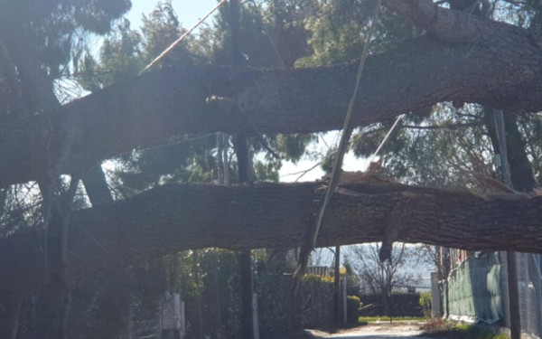 Δήμος Θέρμης: Καταστροφές σε δέντρα και κολώνες της ΔΕΗ από τους θυελλώδεις ανέμους