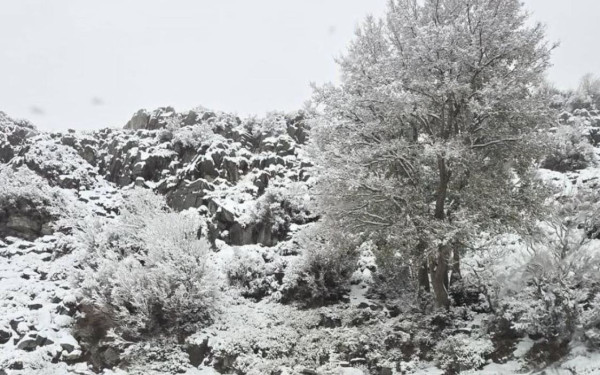 Κρήτη: Πρωτοχρονιάτικη... άσπρη μέρα είδαν τα ορεινά - Μαγικές εικόνες από τον χιονισμένο Ψηλορείτη