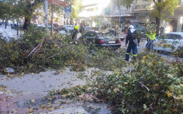 Η Κεντρική Μακεδονία σε συναγερμό: 710 κλήσεις για πτώσεις δέντρων και αντικειμένων λόγω ισχυρών ανέμων - Η Θεσσαλονίκη στο επίκεντρο