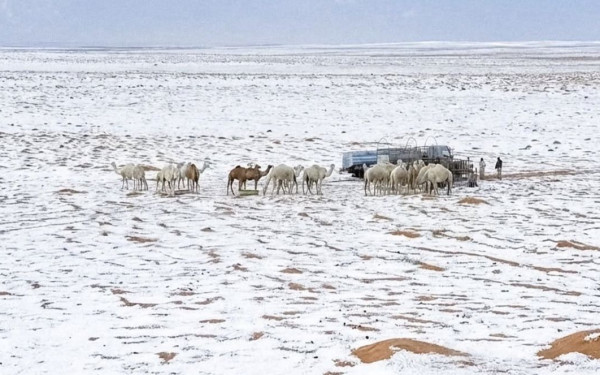 Χιόνισε στη Σαουδική Αραβία - Έκπληκτοι άνθρωποι χορεύουν και γελούν (βίντεο)