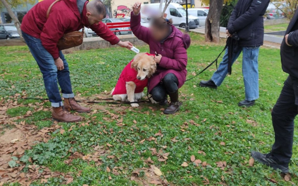 Θεσσαλονίκη: Σχεδόν 10.000 ευρώ πρόστιμα σε κηδεμόνες ζώων τον Δεκέμβριο