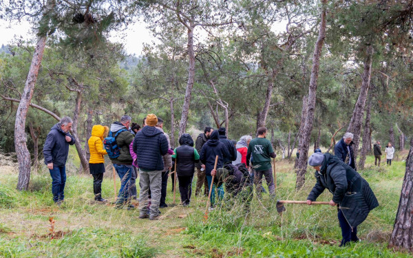 Θεσσαλονίκη: Φυτεύτηκαν 1.000 νέα δέντρα στην Τριανδρία