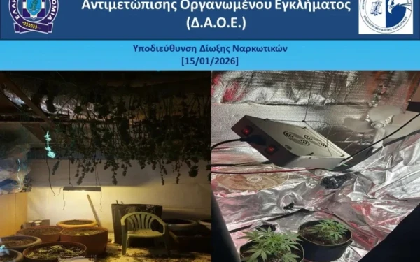 Eξαρθρώθηκε από το ελληνικό «FBI» εγκληματική οργάνωση υδροπονικής κάνναβης στη Ρόδο