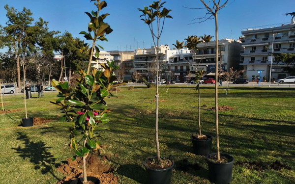 Θεσσαλονίκη: Φύτεψαν 50 δέντρα στη μνήμη αγαπημένων προσώπων που έφυγαν από τη ζωή (βίντεο)