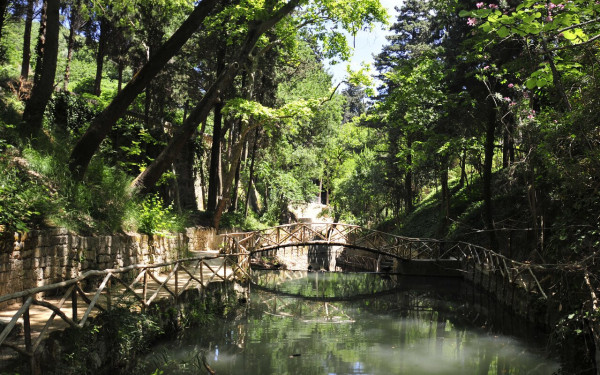 Ρόδος: Είδος ξενικού υδρόβιου σαλιγκαριού εντοπίστηκε στο πάρκο Ροδίνι – Η ανησυχία για την εμφάνισή του